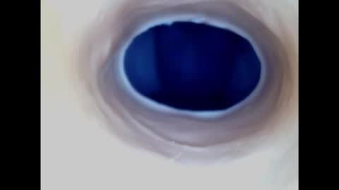 Snapshot of paulainoscente chatting on 11.17.25 Paula 18 Aninhos online show from 11.17.25