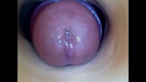 Snapshot of paulainoscente chatting on 11.18.25 Paula 18 Aninhos online show from 11.18.25