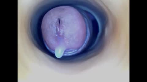 Snapshot of paulainoscente chatting on 11.19.25 Paula 18 Aninhos online show from 11.19.25