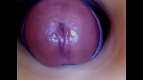 Snapshot of paulainoscente chatting on 11.20.25 Paula 18 Aninhos online show from 11.20.25