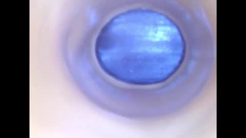 Snapshot of paulainoscente chatting on 12.02.25 Paula 18 Aninhos online show from 12.02.25