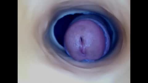 Snapshot of paulainoscente chatting on 12.14.25 Paula 18 Aninhos online show from 12.14.25