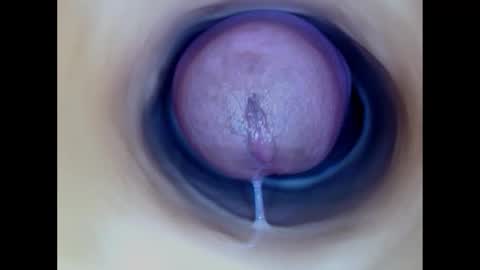 Snapshot of paulainoscente chatting on 12.15.25 Paula 18 Aninhos online show from 12.15.25