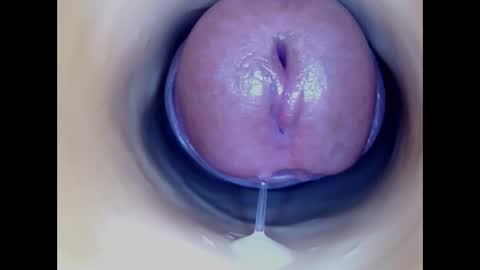 Paula 18 Aninhos online show from 01.07.26