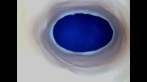 Paula 18 Aninhos online show from 06.19.26