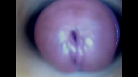 Paula 18 Aninhos online show from 07.31.26