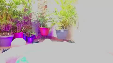 Paulina  online show from 06.19.26