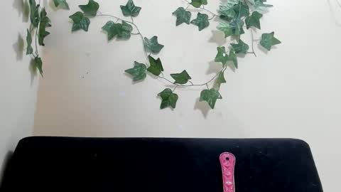 Paulinches online show from 02.09.26