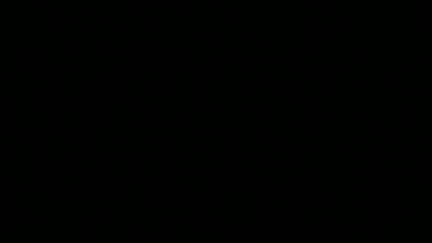 Paul online show from 06.08.26