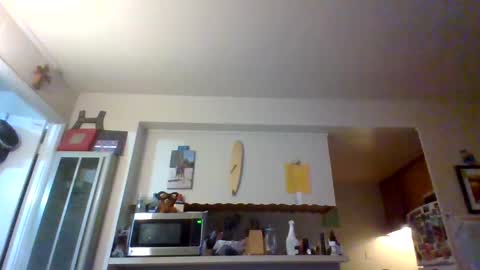 Snapshot of pawgkiller chatting on 10.11.25 pawgkiller online show from 10.11.25
