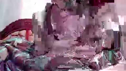 Coco channel  online show from 01.14.25