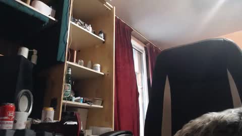 pc8474408 online show from 05.07.26
