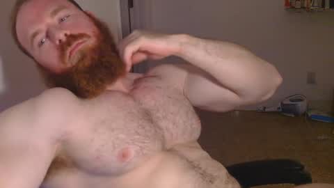 Snapshot of pec_inspector chatting on 01.30.25 Pec inspector online show from 01.30.25