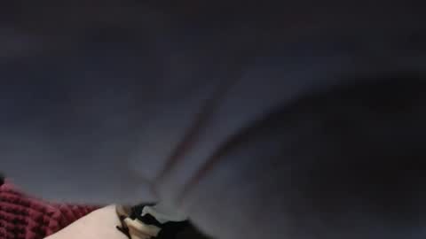 PeggySoft online show from 10.13.25