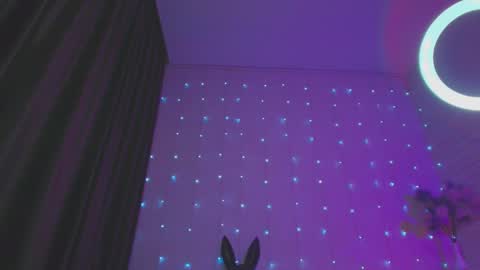 Snapshot of pepper_cat chatting on 01.20.25 Dia online show from 01.20.25