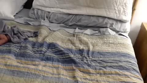 perdidobch online show from 12.13.24