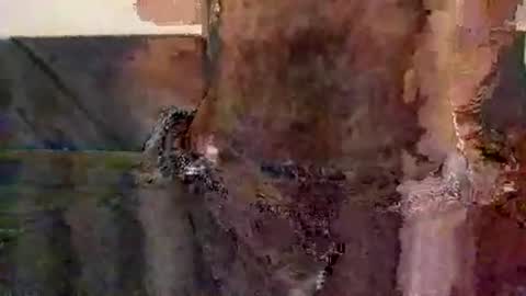 Snapshot of perfect_ftm chatting on 11.12.25 perfectFTM online show from 11.12.25