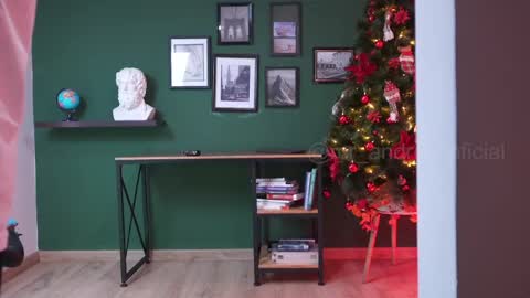 Snapshot of perseoo_88 chatting on 12.28.24 andres online show from 12.28.24