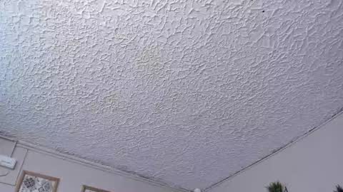 Ludoziel 19 online show from 12.01.25