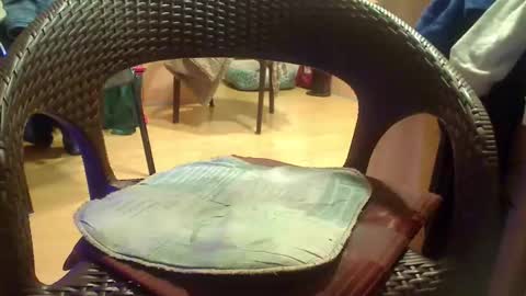 Snapshot of peta000007 chatting on 12.04.25 peta000007 online show from 12.04.25