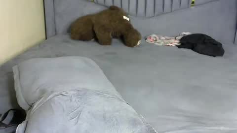 petite_byb online show from 03.10.26