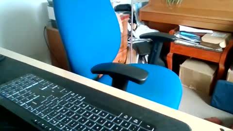 petitwilly online show from 06.11.26