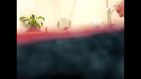 petrol63102 online show from 02.19.26