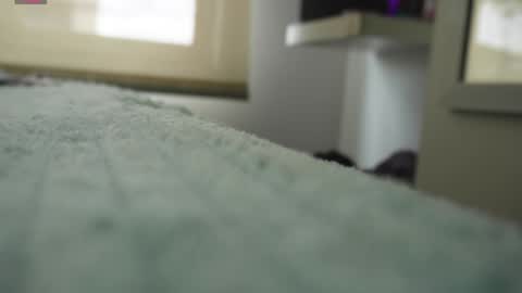 Pettercat online show from 01.05.25