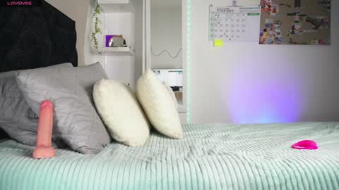 Pettercat online show from 01.23.25