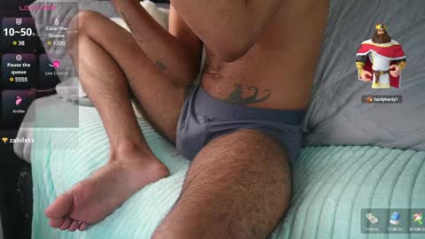 Pettercat online show from 02.02.25