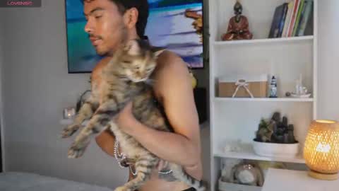 Pettercat online show from 11.06.25