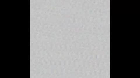 peytonn_monroe online show from 11.11.25