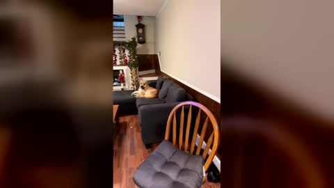 Snapshot of phatassblond chatting on 12.15.25 PhatAssBlond online show from 12.15.25