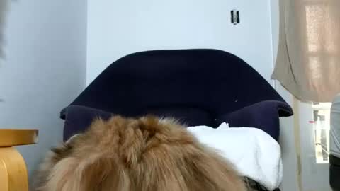 TheSkyeWoods online show from 12.09.24