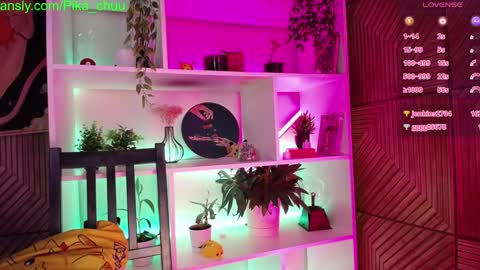 Snapshot of pika_pikaa chatting on 12.06.24 Sonya online show from 12.06.24