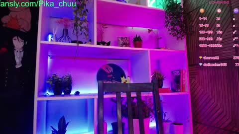 Snapshot of pika_pikaa chatting on 01.25.25 Sonya online show from 01.25.25