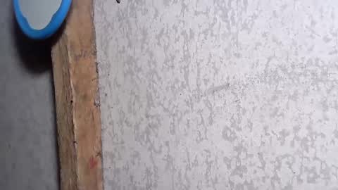 pinay_yummy28 online show from 12.02.24