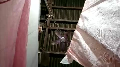 Snapshot of pinaybobs chatting on 03.02.26 pinaybobs online show from 03.02.26