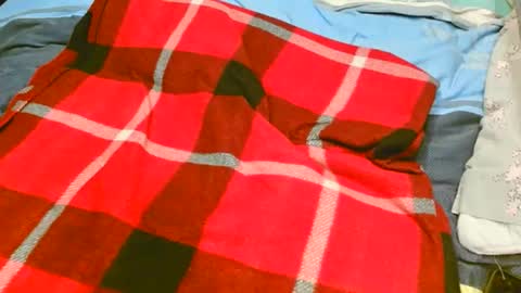 pinewoodman online show from 11.10.25