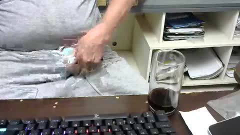 Snapshot of pinheiro86 chatting on 11.26.25 pinheiro86 online show from 11.26.25