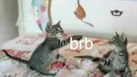 Kitty online show from 06.25.26