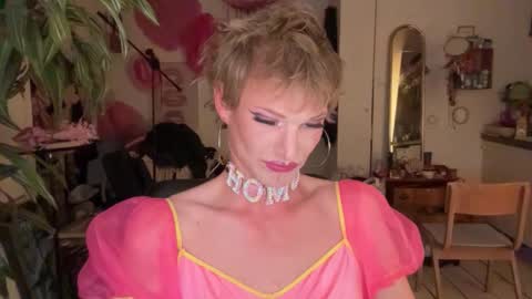 pinkfag online show from 05.11.26
