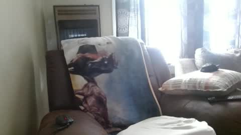 pirate334 online show from 02.03.26