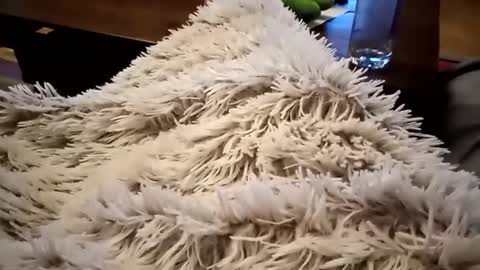 Antn online show from 02.09.25