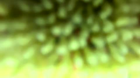 Snapshot of pitt821 chatting on 02.04.26 Mike online show from 02.04.26