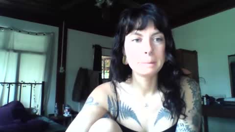 pixiecatfairy online show from 11.19.25