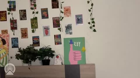 Daryl  online show from 01.18.26