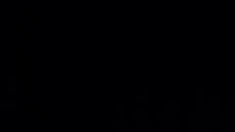 pjp34 online show from 04.22.26