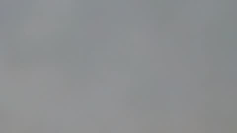 playboypetit online show from 01.15.25