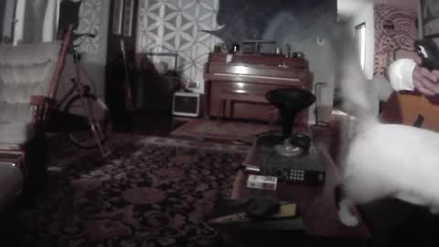playerpleasure online show from 07.25.26